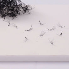 5D Lash Fan