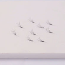 6D Lash Fan