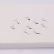 5D Lash Fan